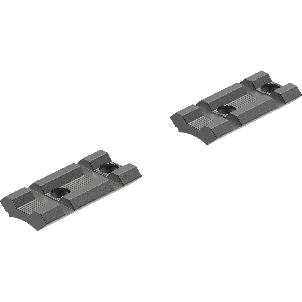 Leupold 10 black 2 piece base