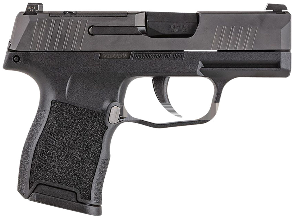 SIG SAUER P365 380ACP BLK 10+1 NS