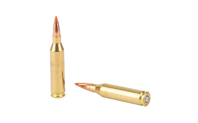 FUSION 243WIN 95GR FSP 20/200 - Centurion Armament Co FUSION 243WIN 95GR FSP 20/200