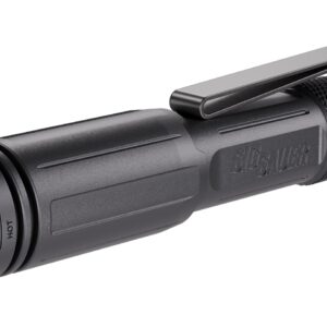 Sig Sauer