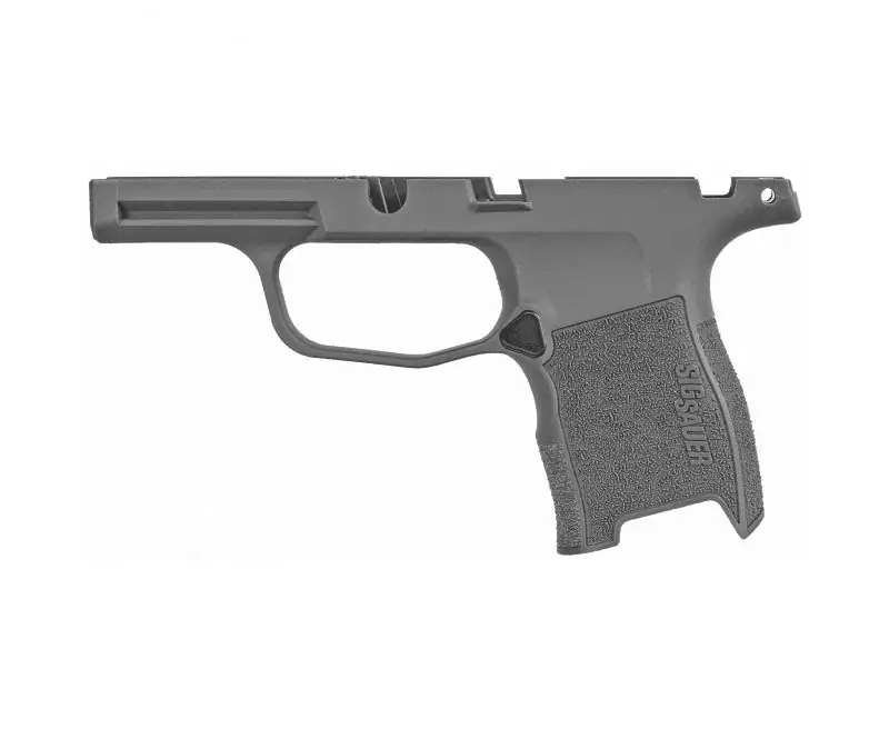 Sig Sauer P365 gray